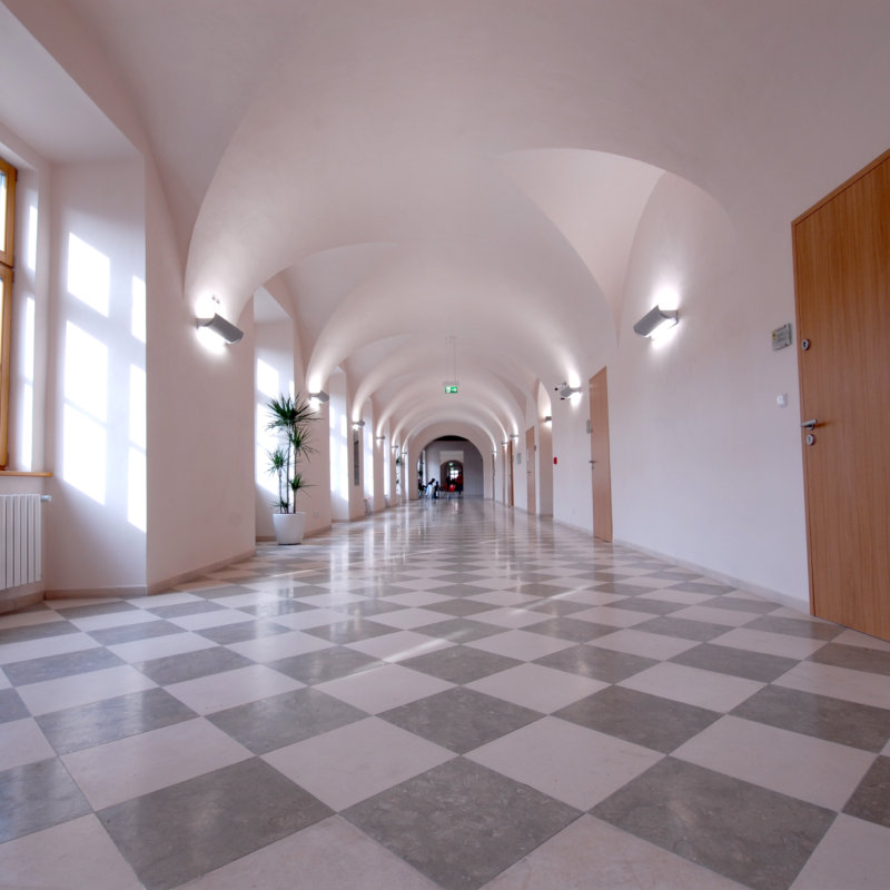 VUT Brno, Fakulta informatiky